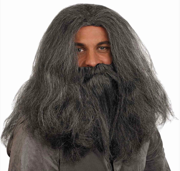 WIZARD WIG AND BEARD